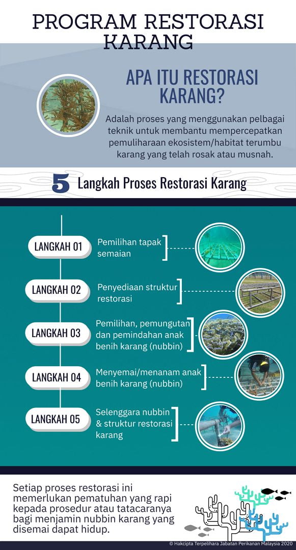 infografik tukun