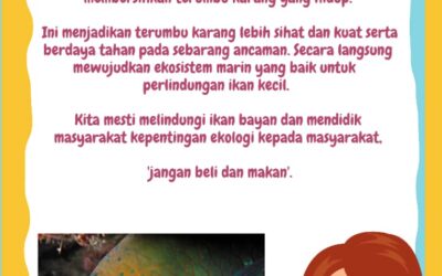 Informasi Awam – Ikan Bayan