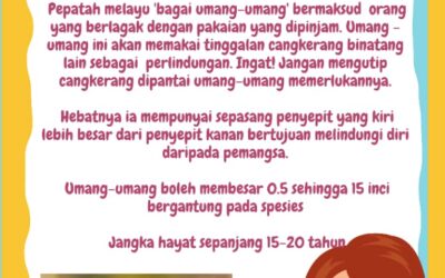 Informasi Awam – Umang-umang