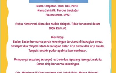 Informasi Awam – Ikan Tebal Sisik